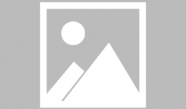 鸡动漫,萌鸡奇遇记